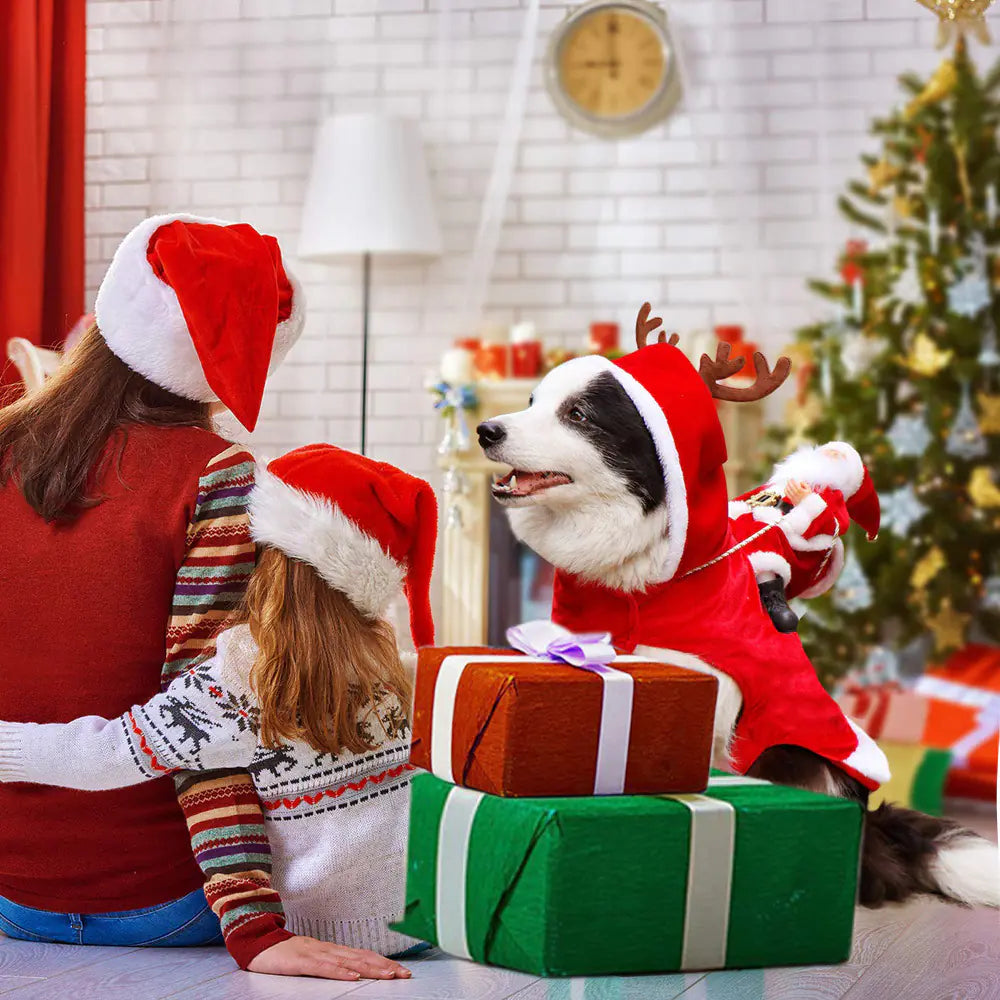 2019 Christmas Dog Santa Reindeer Costume Outfit