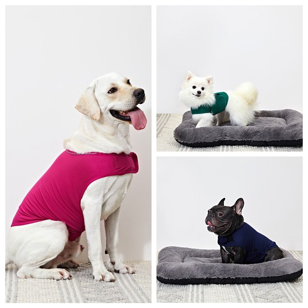 #product_name - - Love Indi Schmindi