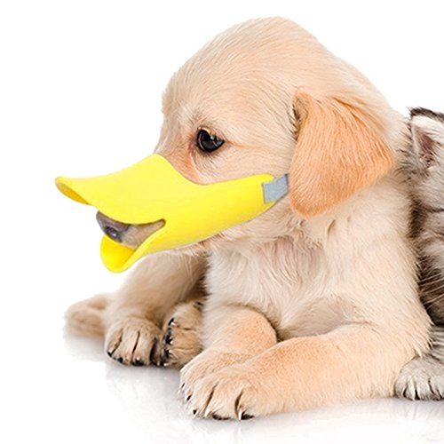 #product_name - Dog accessories - Love Indi Schmindi