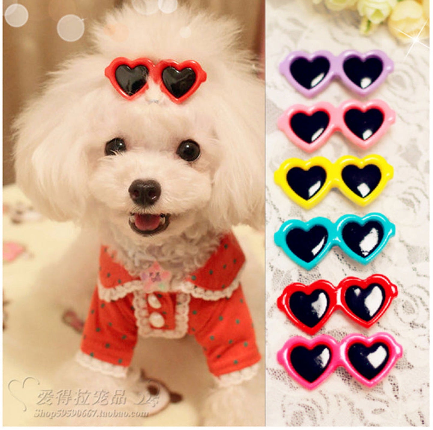 #product_name - Dog accessories - Love Indi Schmindi