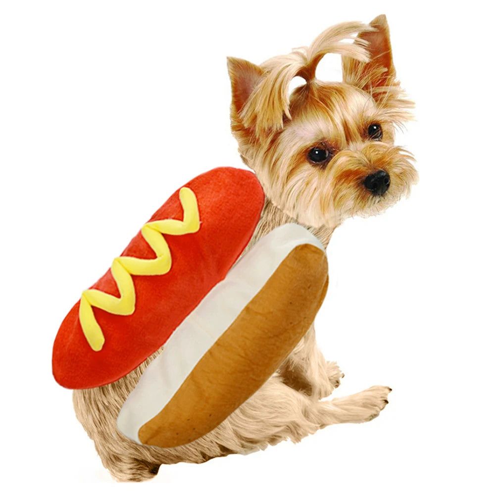 Hot dog clothes best sale