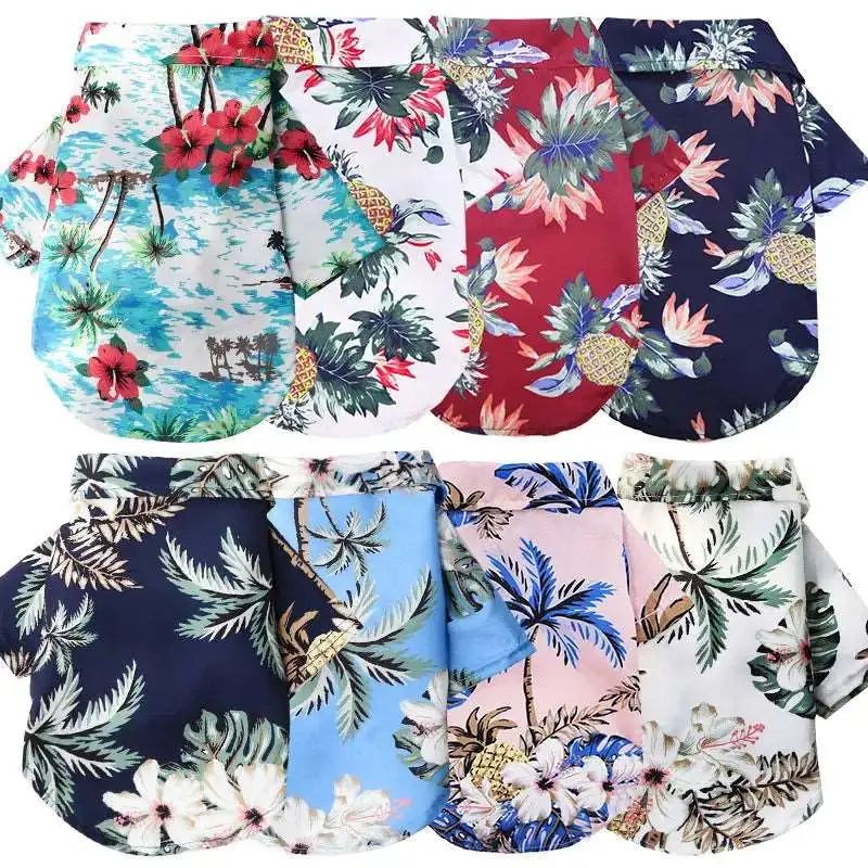 #product_name - - Love Indi Schmindi