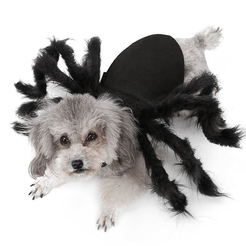 #product_name - Dog clothes - Love Indi Schmindi