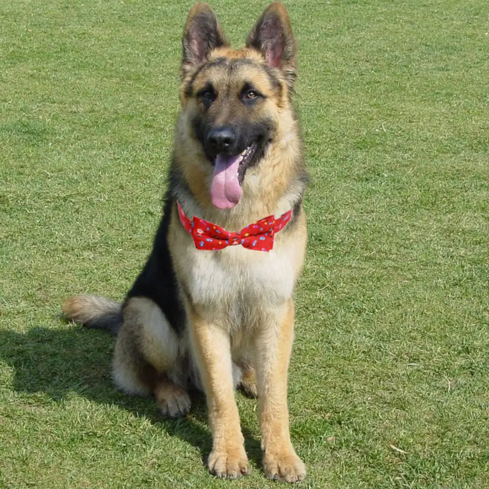 Large Dog Bow for Christmas Pet Collar