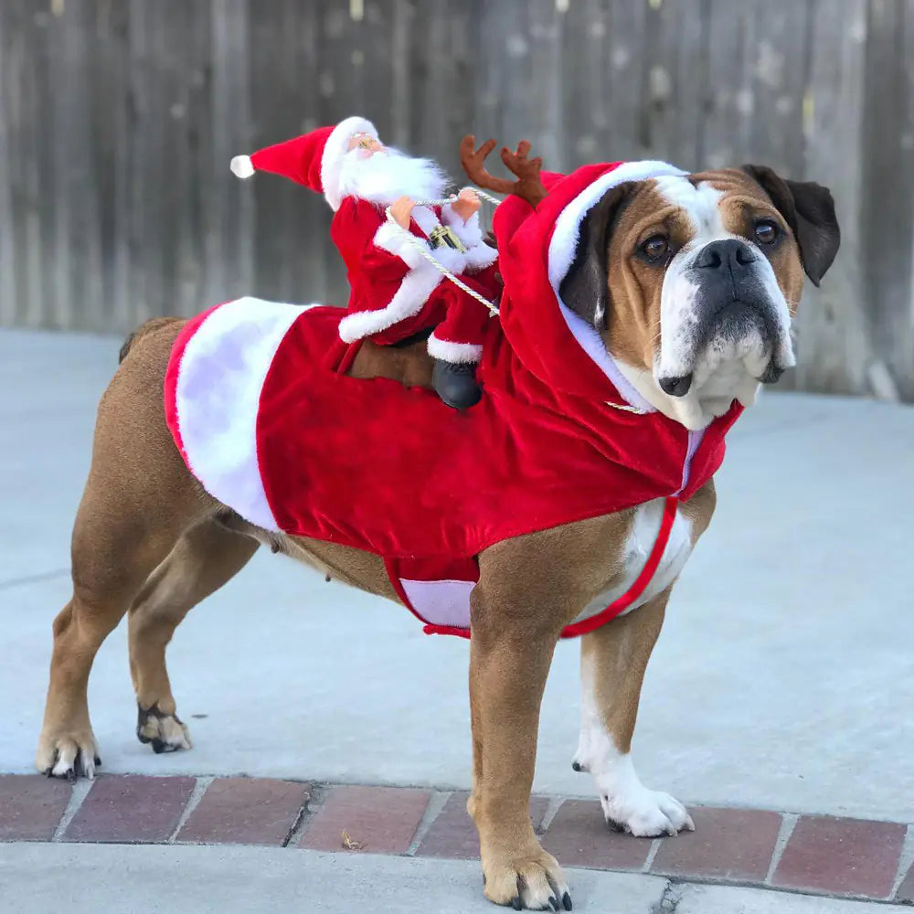 2019 Christmas Dog Santa Reindeer Costume Outfit