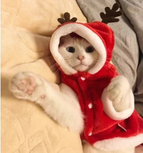 Christmas Reindeer Dog Outfit for Winter Celebration