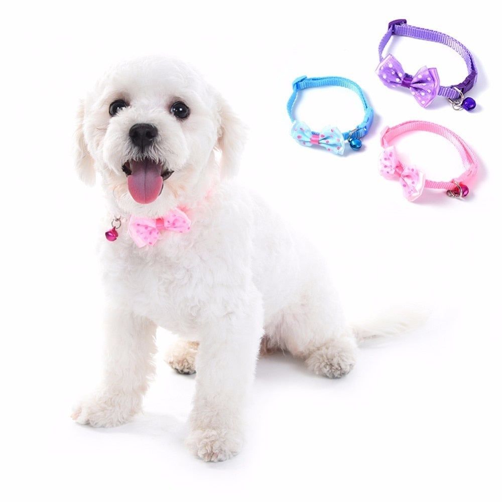 #product_name - Collar - Love Indi Schmindi