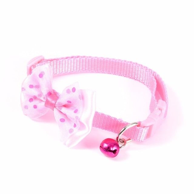 #product_name -  - Love Indi Schmindi