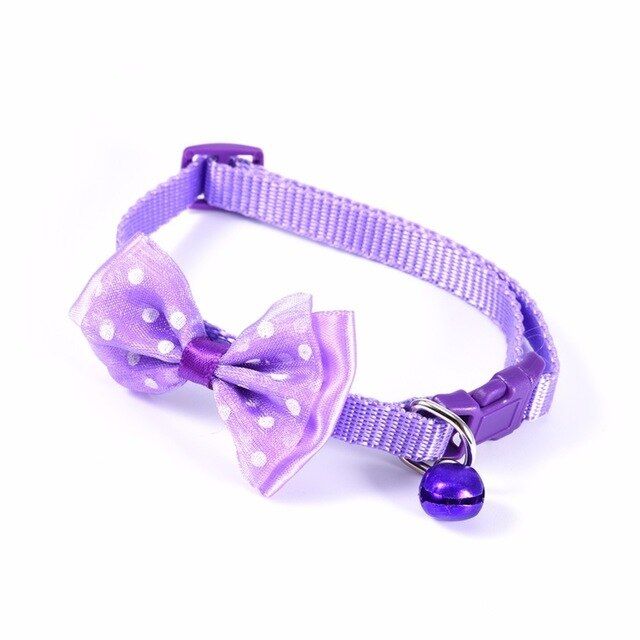 #product_name -  - Love Indi Schmindi