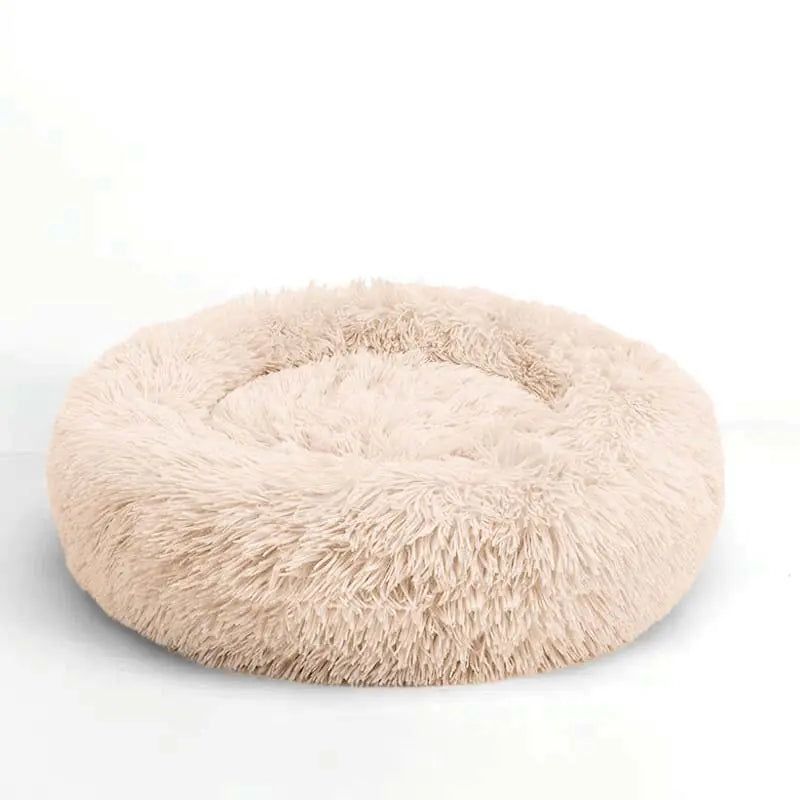 #product_name -  - Love Indi Schmindi