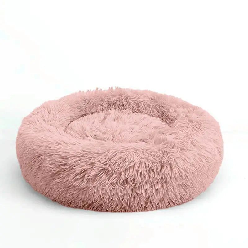#product_name -  - Love Indi Schmindi