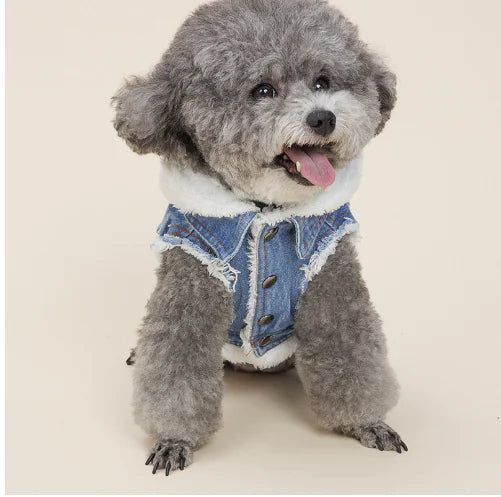 #product_name - Dog Hoodie - Love Indi Schmindi