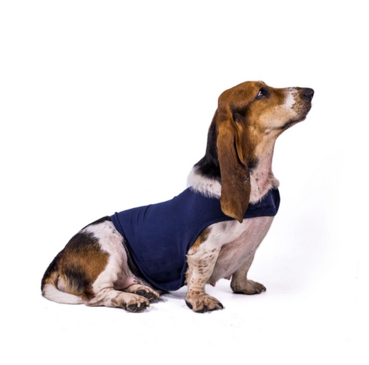 #product_name - Dog clothes - Love Indi Schmindi