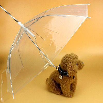 #product_name - Dog accessories - Love Indi Schmindi