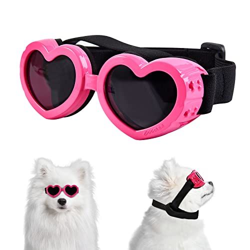 #product_name - Dog accessories - Love Indi Schmindi