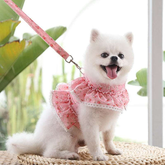 #product_name - Dog leash - Love Indi Schmindi
