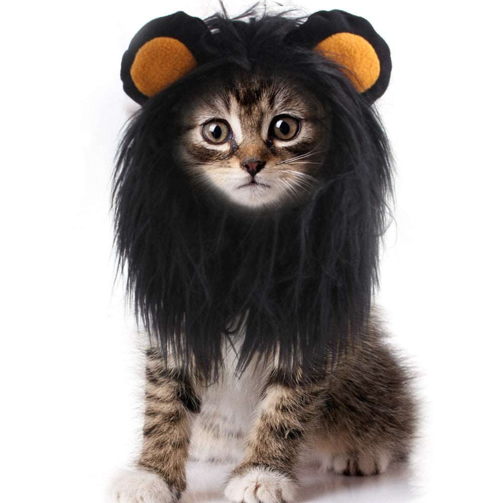 #product_name - Dog hat - Love Indi Schmindi