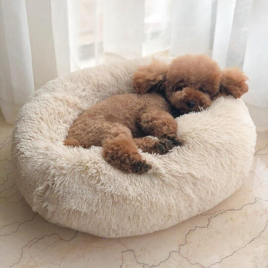 #product_name - Dog Bed - Love Indi Schmindi