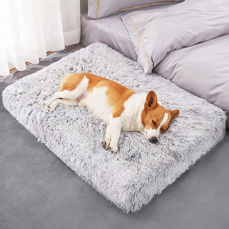 #product_name - Dog Bed - Love Indi Schmindi