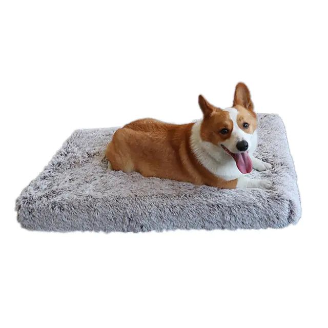 #product_name -  - Love Indi Schmindi