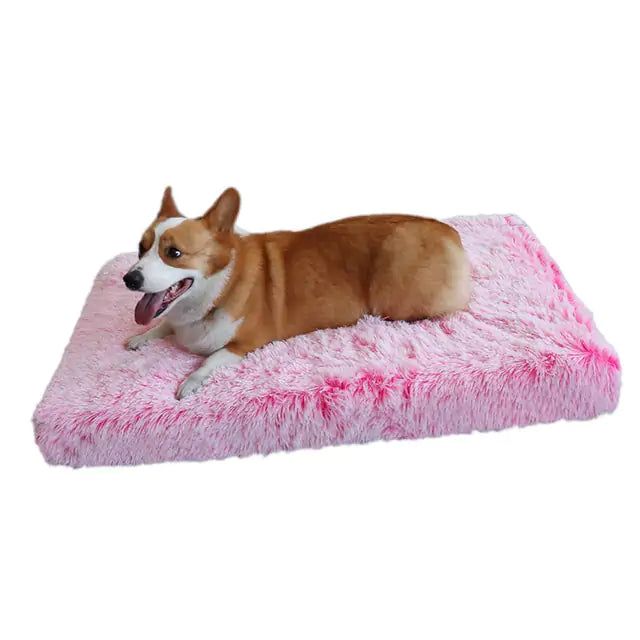 #product_name -  - Love Indi Schmindi