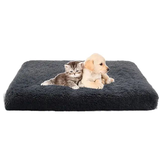 #product_name -  - Love Indi Schmindi