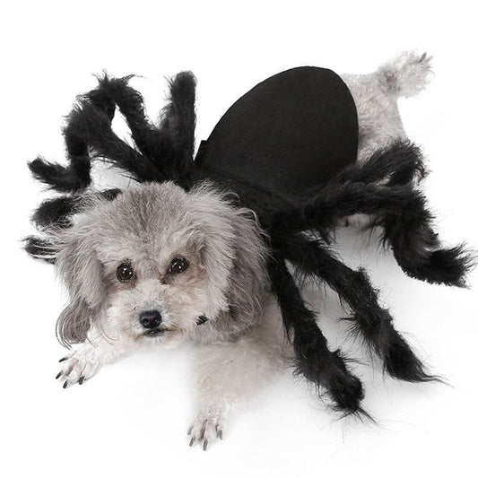 #product_name - Dog clothes - Love Indi Schmindi