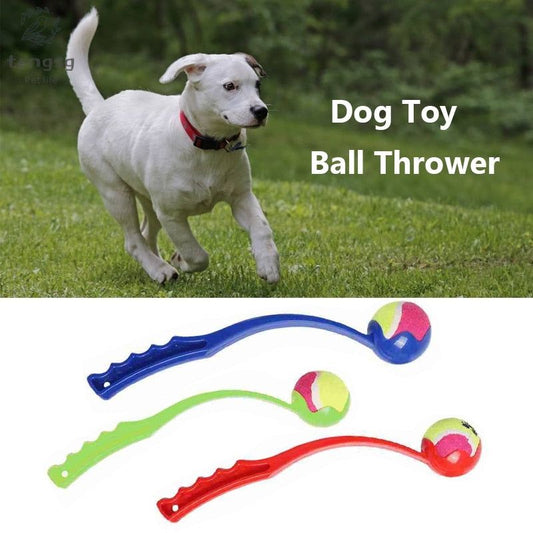 #product_name - Toys - Love Indi Schmindi
