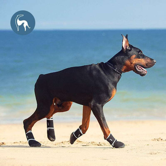 #product_name - Dog shoes - Love Indi Schmindi